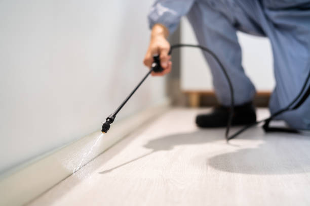 Licensed Termite Control service in Harvey, IL - Nex Pest Control