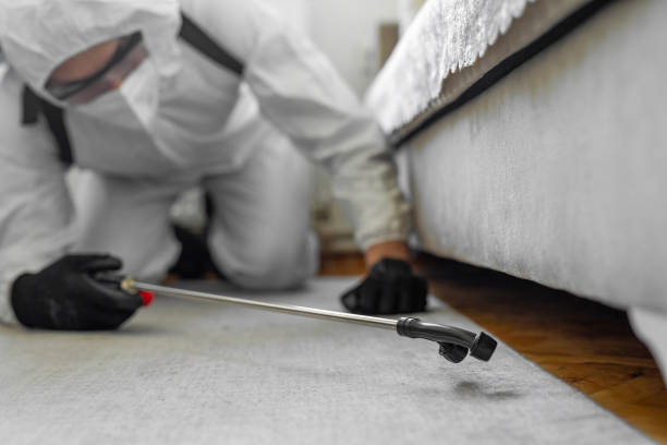 Professional Termite Control technician working in Harvey, IL