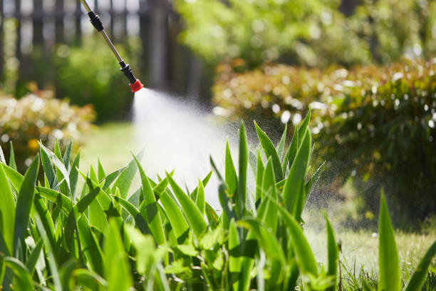 24/7 Emergency Termite Control experts in Harvey, IL