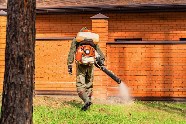 Top rated local Termite Control specialists in Harvey, IL